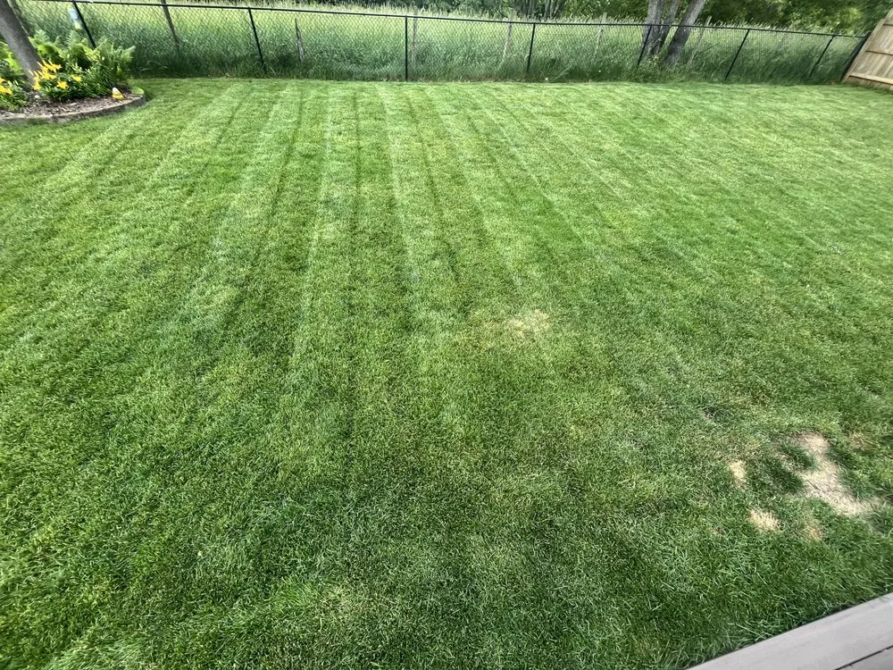 Local garden landscaping in Kalamazoo, MI by GreenCove