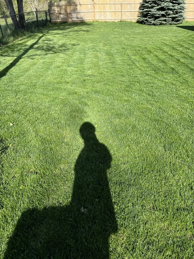 Reliable lawn care service for homes in Kalamazoo, MI by GreenCove