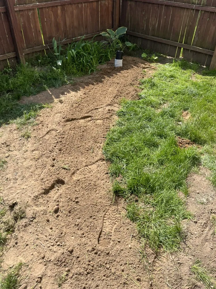 Top-rated yard cleanup service for residential properties in Kalamazoo, MI by GreenCove