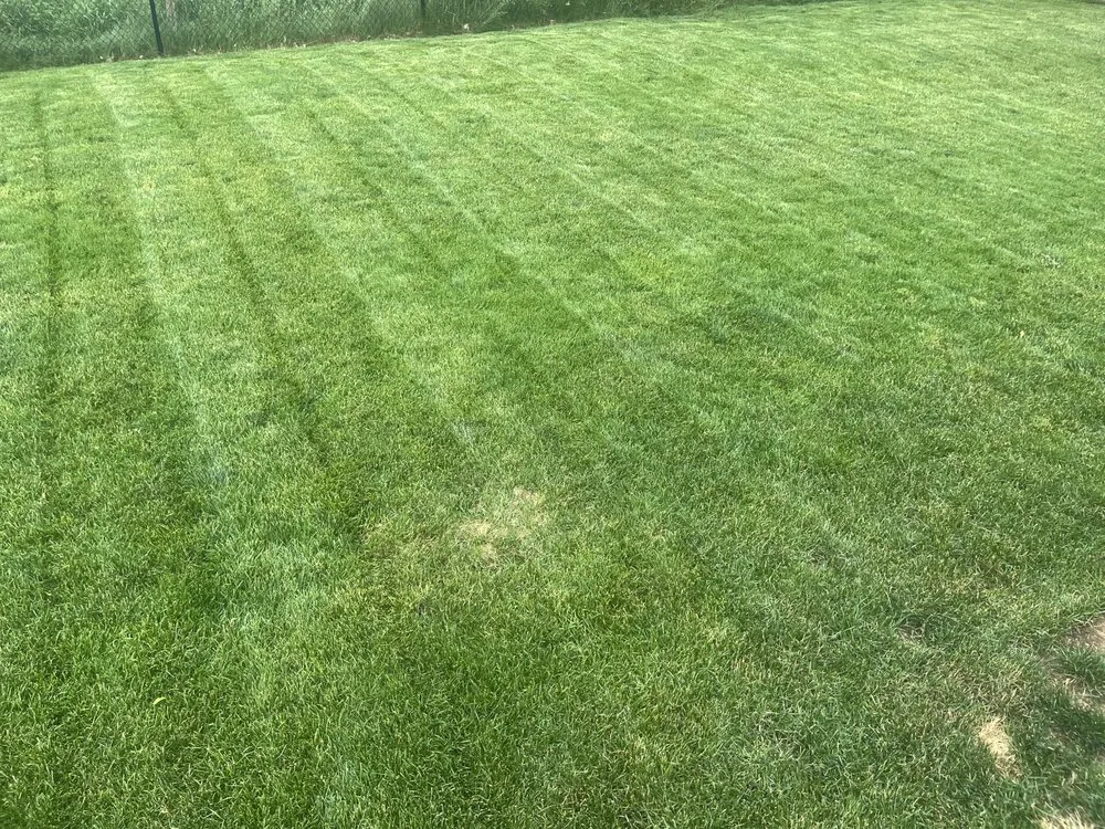 Custom landscaping services in Kalamazoo, MI - GreenCove