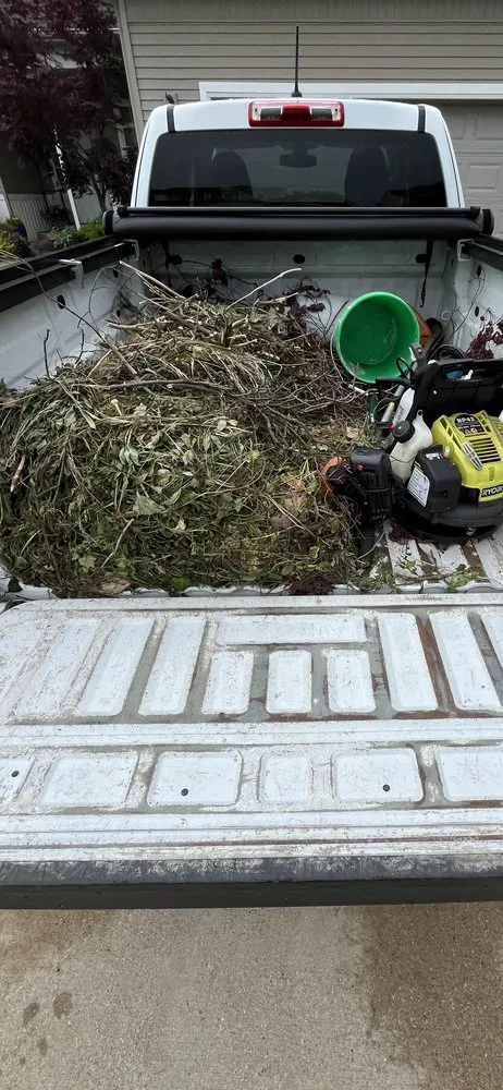 Expert landscaping services in Kalamazoo, MI - GreenCove