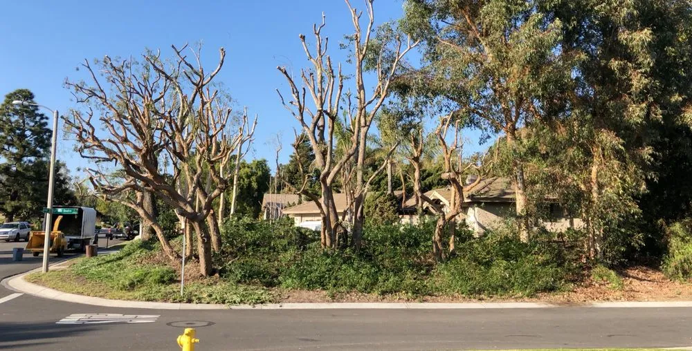 Reliable residential landscaping experts serving Oxnard, CA - GreenCraft Tree Service