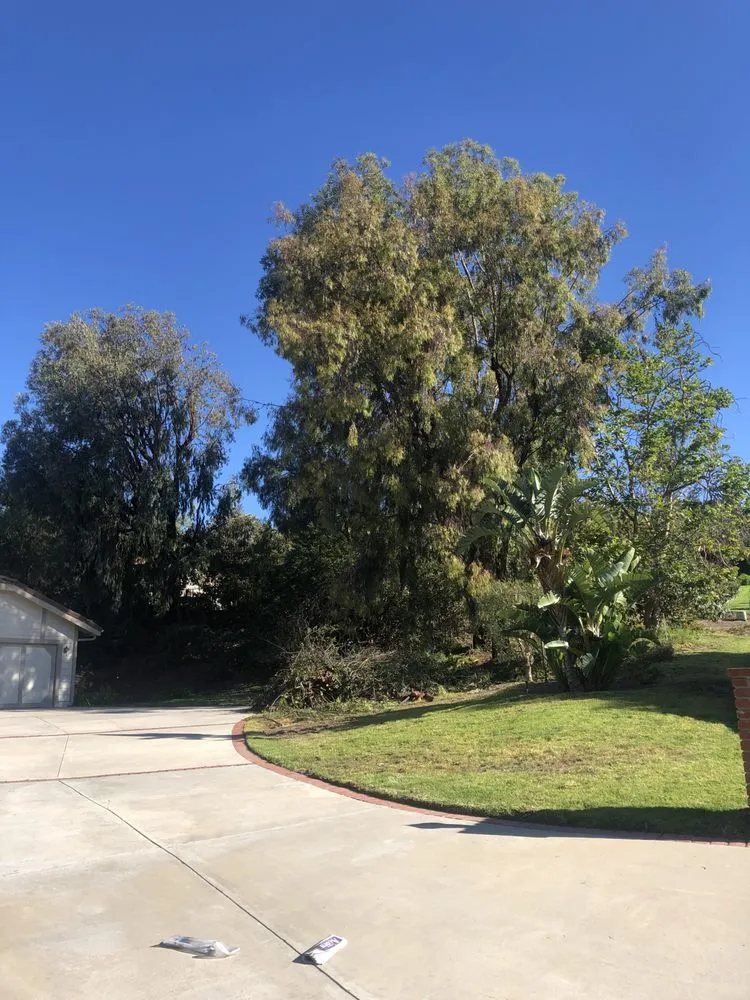 Affordable landscape design for year-round maintenance across Oxnard, CA - GreenCraft Tree Service