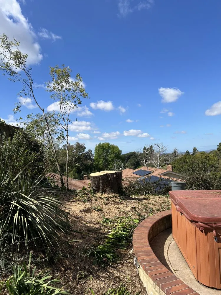 Professional yard maintenance for outdoor upgrades across Oxnard, CA - GreenCraft Tree Service