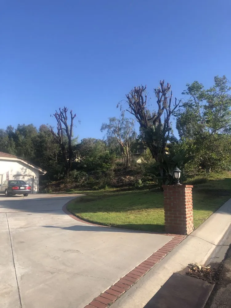 Custom landscape installation in Oxnard, CA by GreenCraft Tree Service