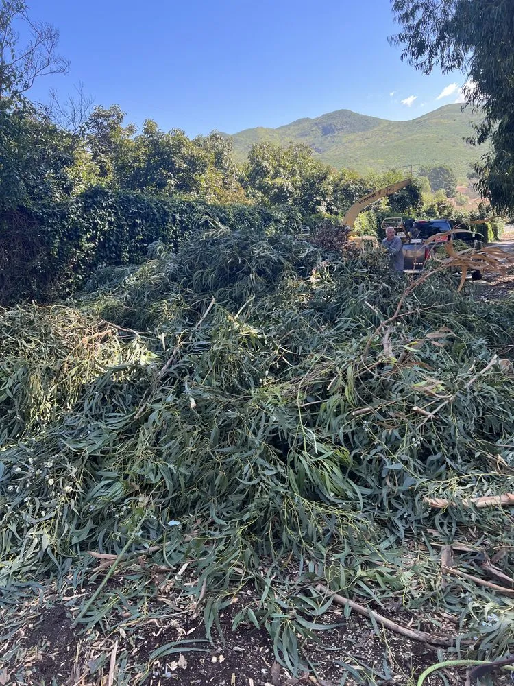 Trusted landscaping services in Oxnard, CA - GreenCraft Tree Service