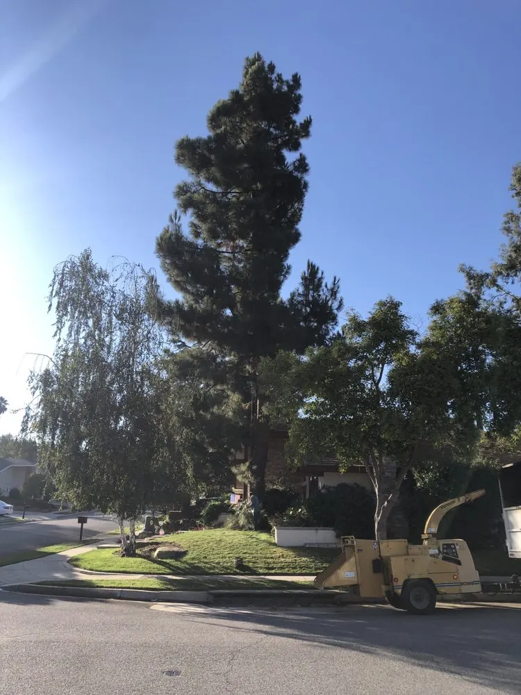 Affordable landscaping services for year-round maintenance across Oxnard, CA - GreenCraft Tree Service