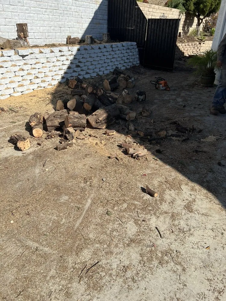 Top-rated landscape installation experts serving Oxnard, CA - GreenCraft Tree Service