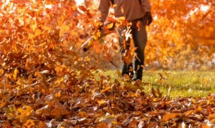 Expert landscape installation for outdoor upgrades across Sheridan, MI - Greencure Lawn Care