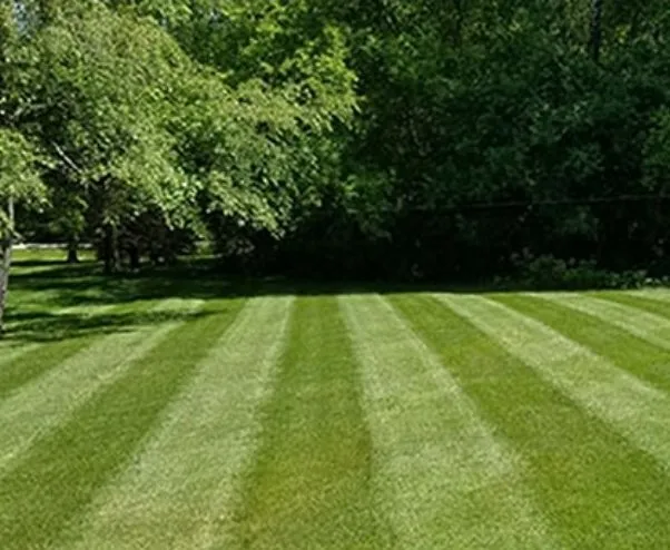 Local yard cleanup service for outdoor upgrades across Sheridan, MI - Greencure Lawn Care