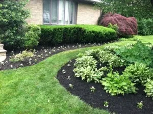 Expert landscape installation for year-round maintenance across Manor, TX - Greencut Landscaping