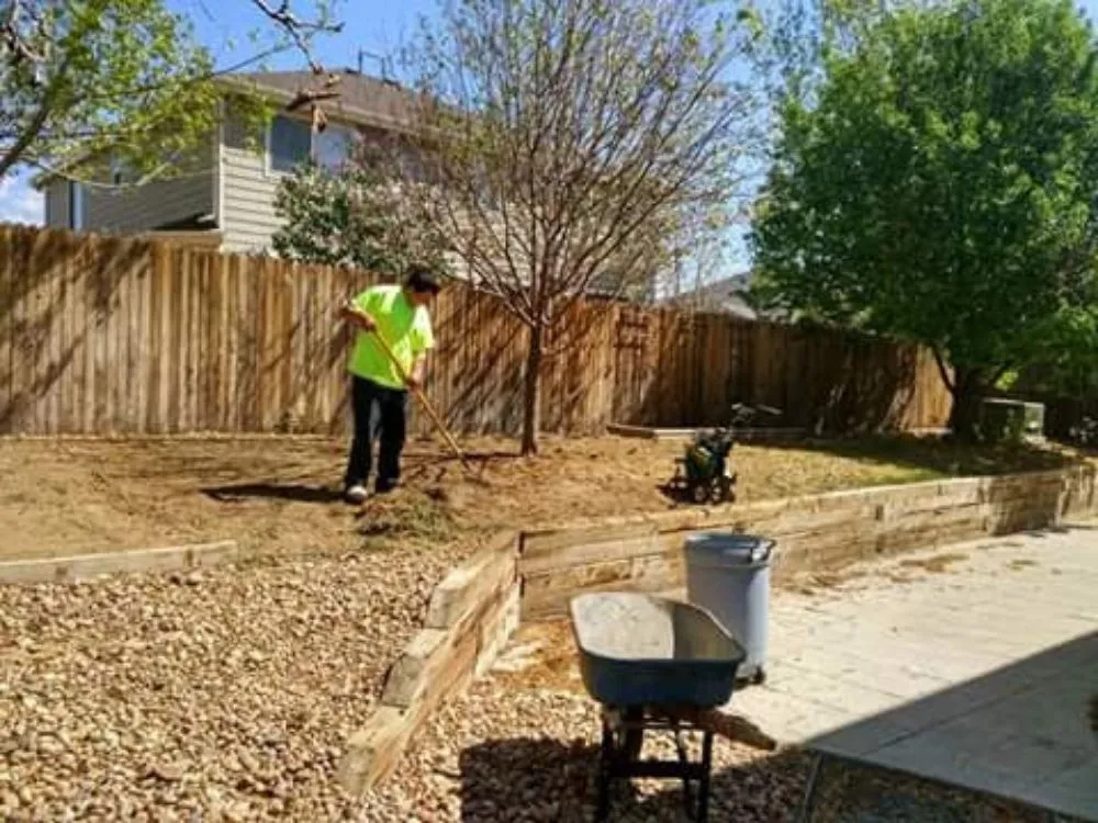 Expert garden landscaping in Victorville, CA by Greencut