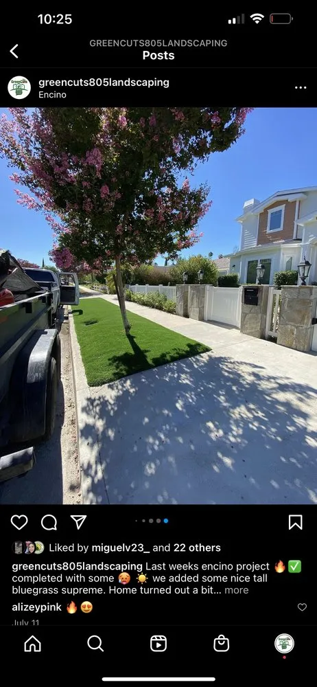 Trusted yard cleanup service with custom design in Port Hueneme, CA by GreenCuts 805 Landscaping