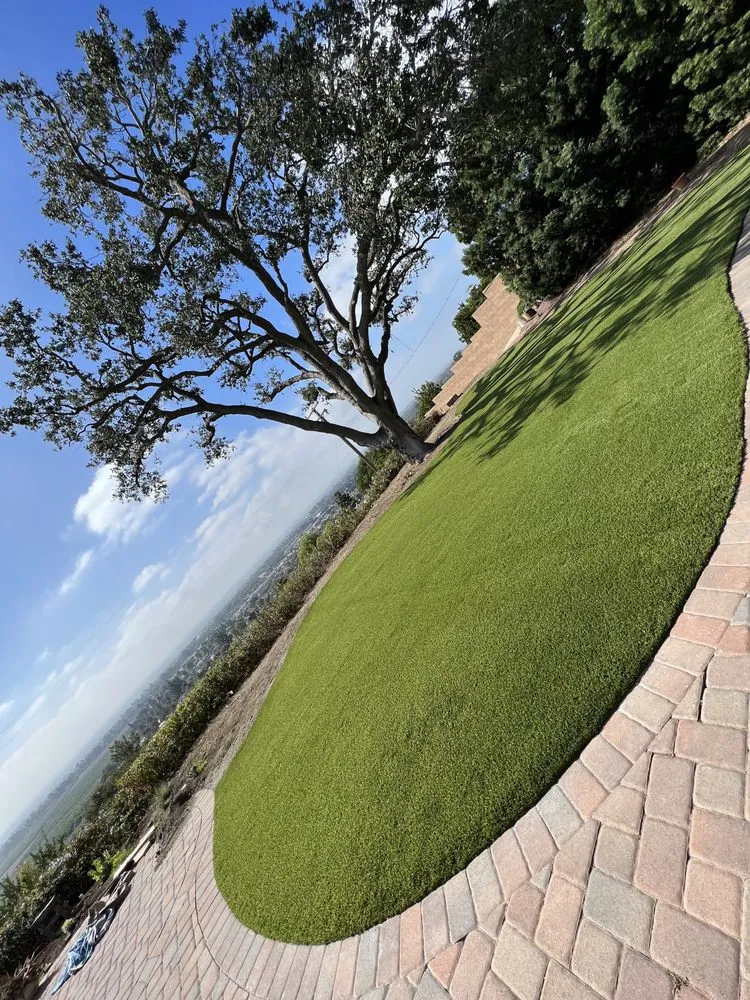 Professional lawn mowing service experts serving Port Hueneme, CA - GreenCuts 805 Landscaping