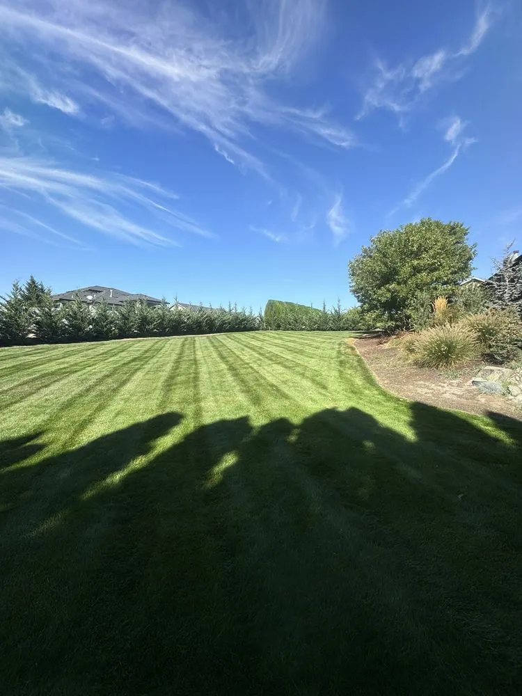 Professional yard cleanup service in Yakima, WA by Greencuts Lawn & Garden