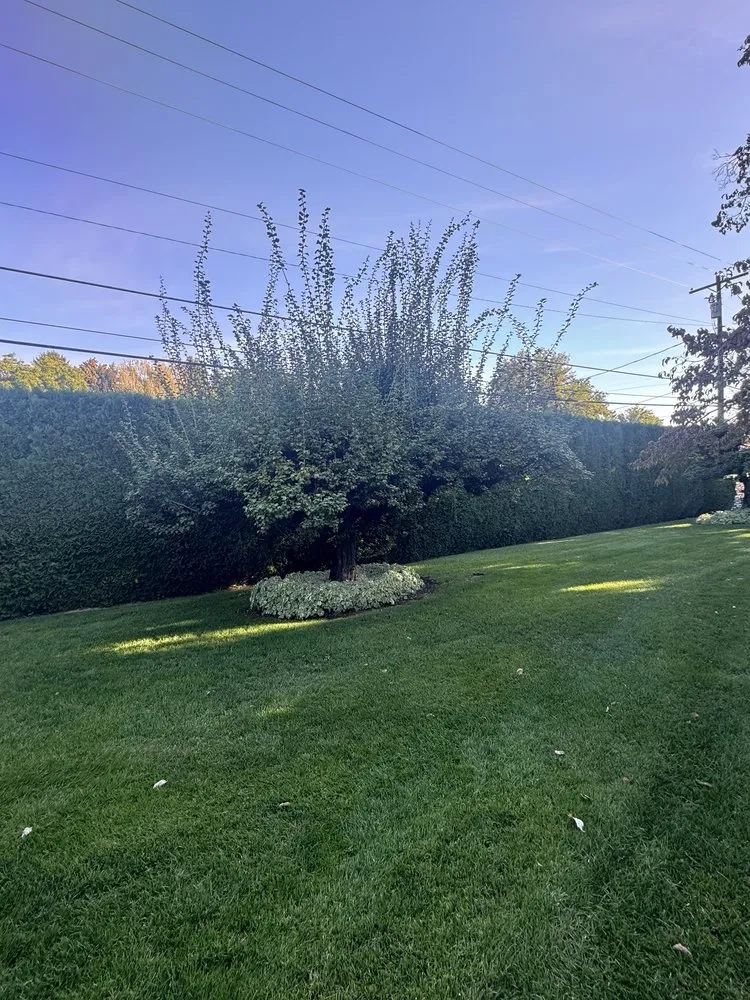 Professional landscaping services for outdoor upgrades in Yakima, WA by Greencuts Lawn & Garden