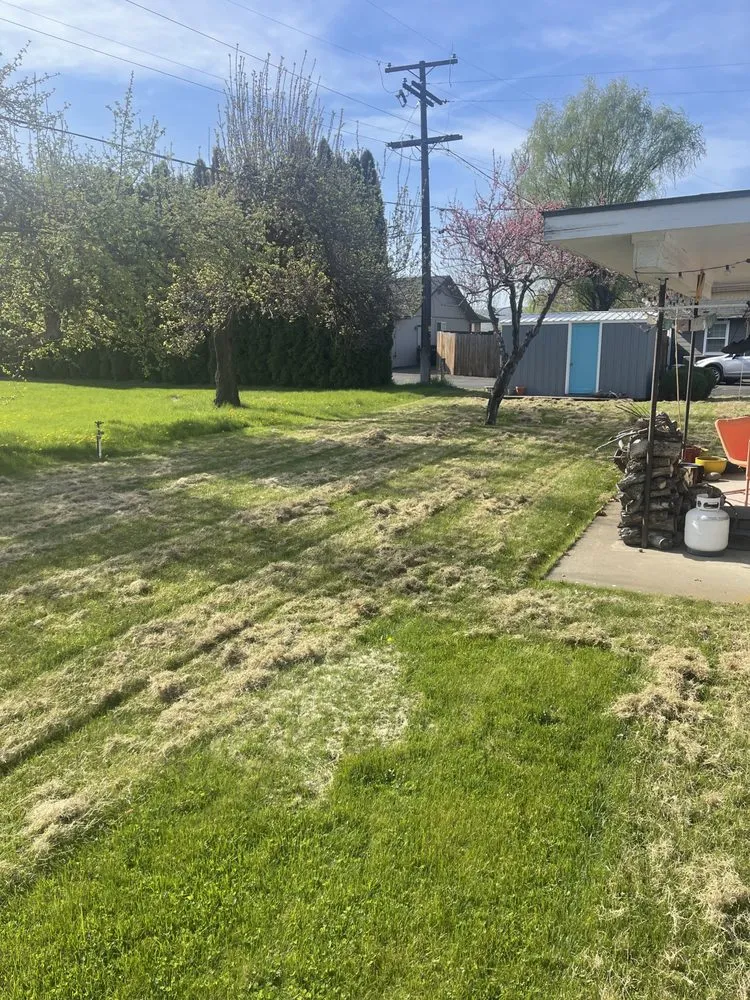 Custom yard cleanup service in Yakima, WA by Greencuts Lawn & Garden