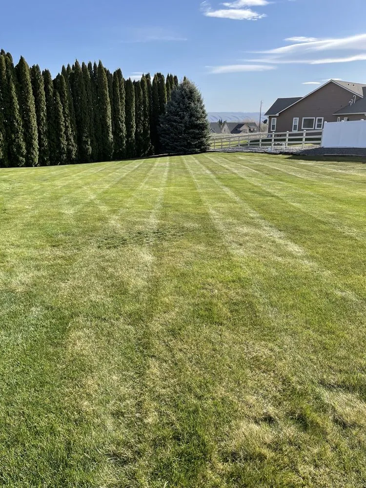 Reliable residential landscaping for beautiful yards across Yakima, WA - Greencuts Lawn & Garden