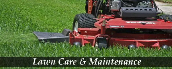 GreenDay Landscaping & Maintenance Service Logo