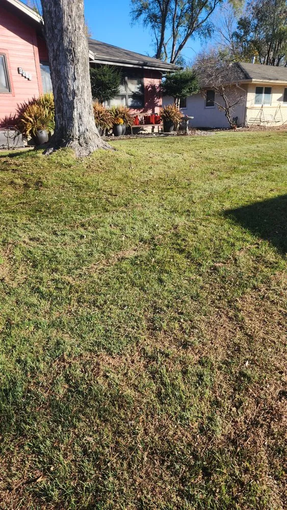 Affordable residential landscaping experts serving Mounds View, MN - Greendonkey Lawncare