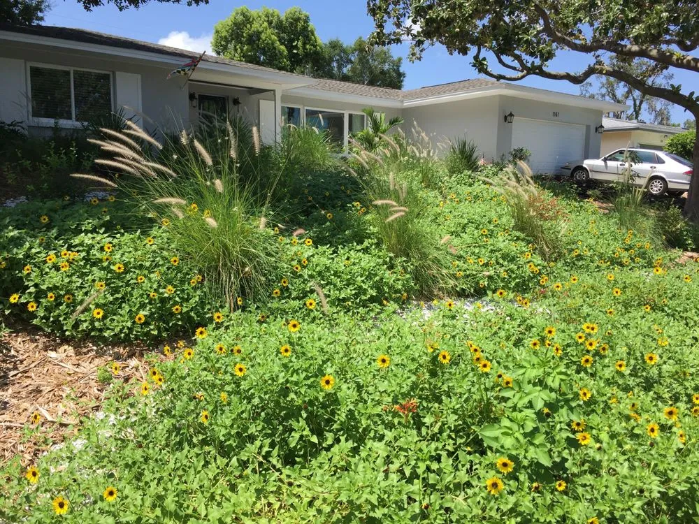 Affordable residential landscaping in Spring Hill, FL by GreenDreams