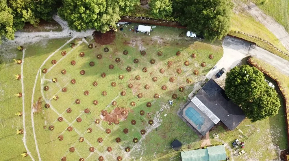 Trusted lawn mowing service in Spring Hill, FL - GreenDreams