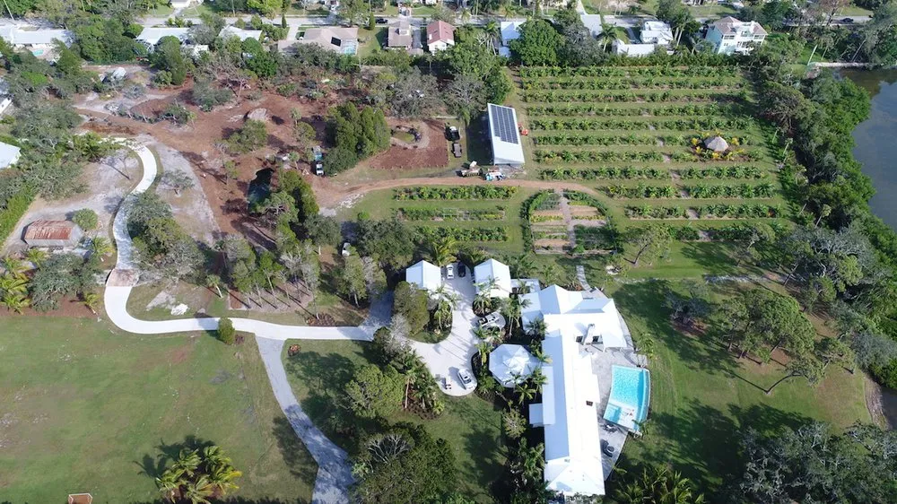 Affordable garden landscaping for residential properties across Spring Hill, FL - GreenDreams