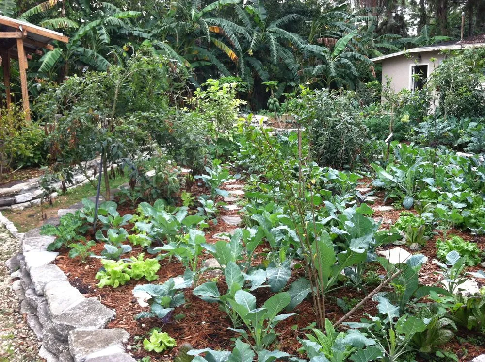 Expert landscape design for residential properties in Spring Hill, FL by GreenDreams