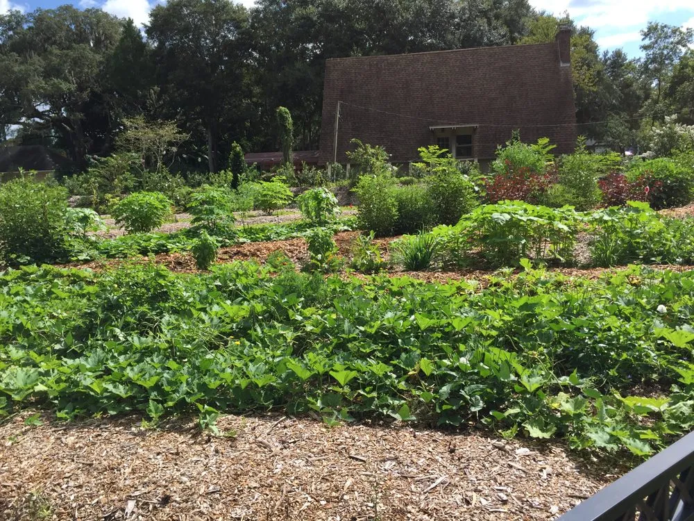 Professional yard maintenance for beautiful yards across Spring Hill, FL - GreenDreams