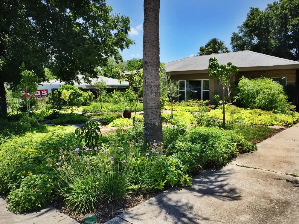 Expert landscaping services experts serving Spring Hill, FL - GreenDreams
