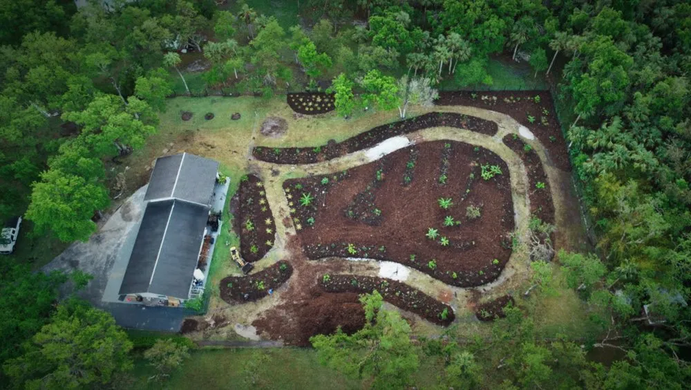 Local yard maintenance in Spring Hill, FL - GreenDreams