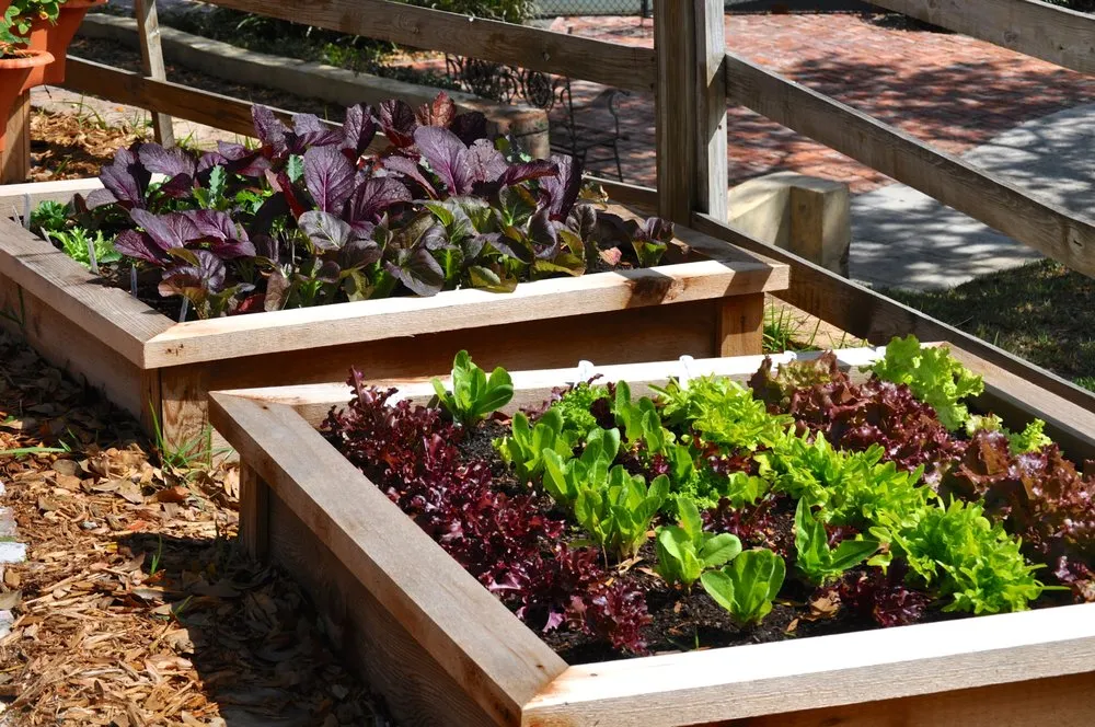 Trusted lawn care service experts serving Spring Hill, FL - GreenDreams