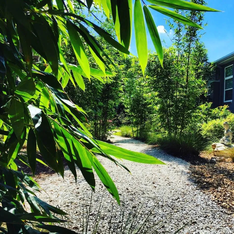 Affordable outdoor landscaping in Spring Hill, FL - GreenDreams