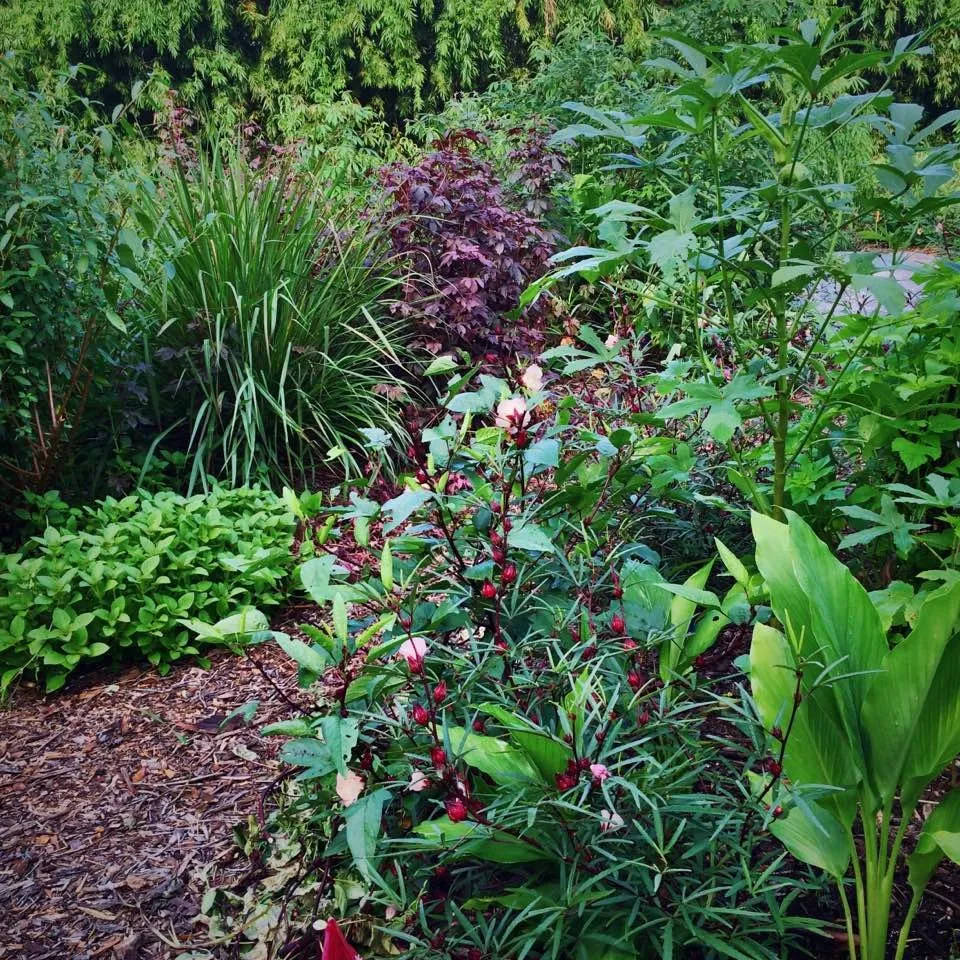 Top-rated outdoor landscaping for outdoor upgrades across Spring Hill, FL - GreenDreams