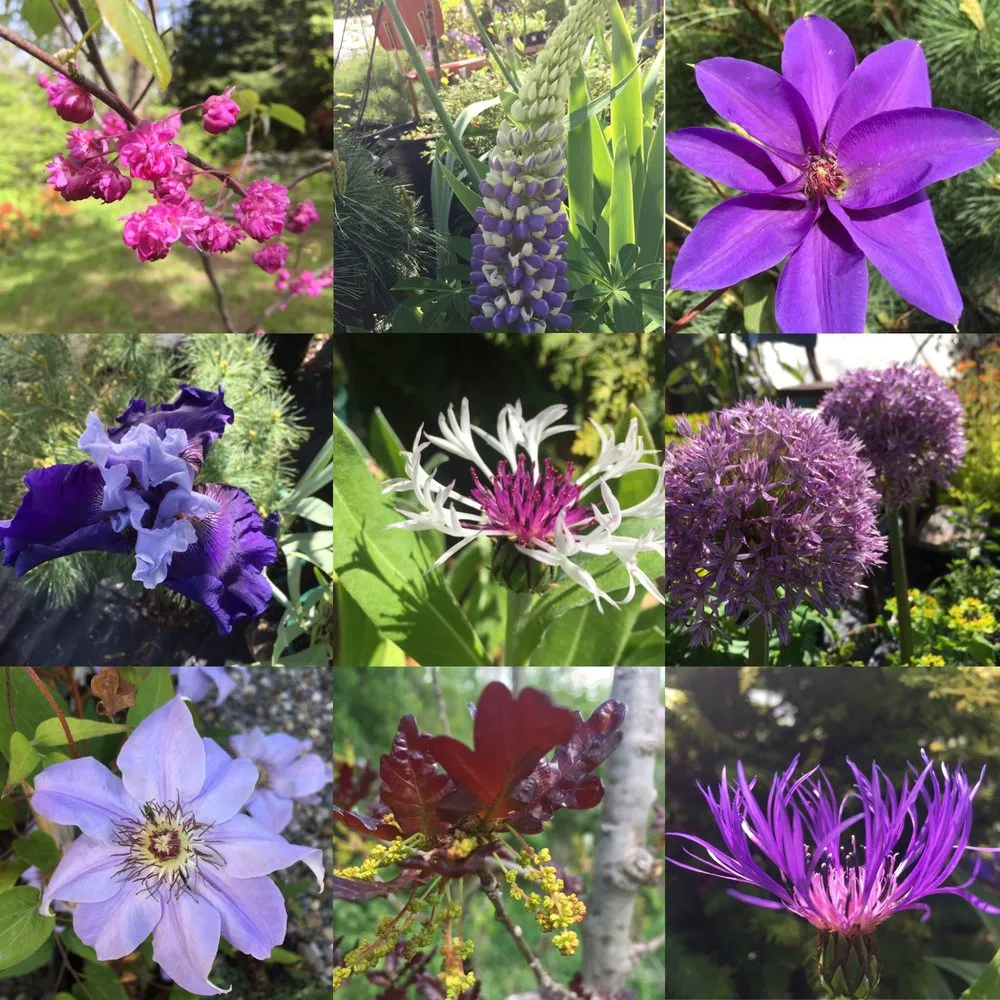 Custom lawn care service experts serving Cornwallville, NY - Greene Bee Greenhouse
