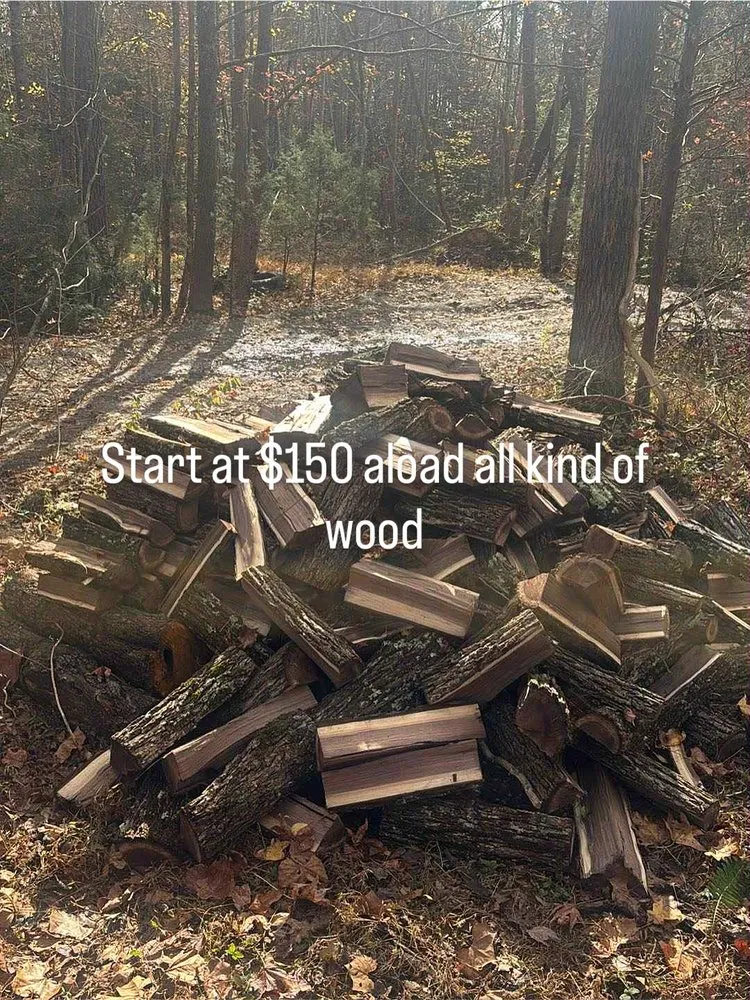 Affordable lawn care service for year-round maintenance across Henrico, VA - Greene Lawn Care