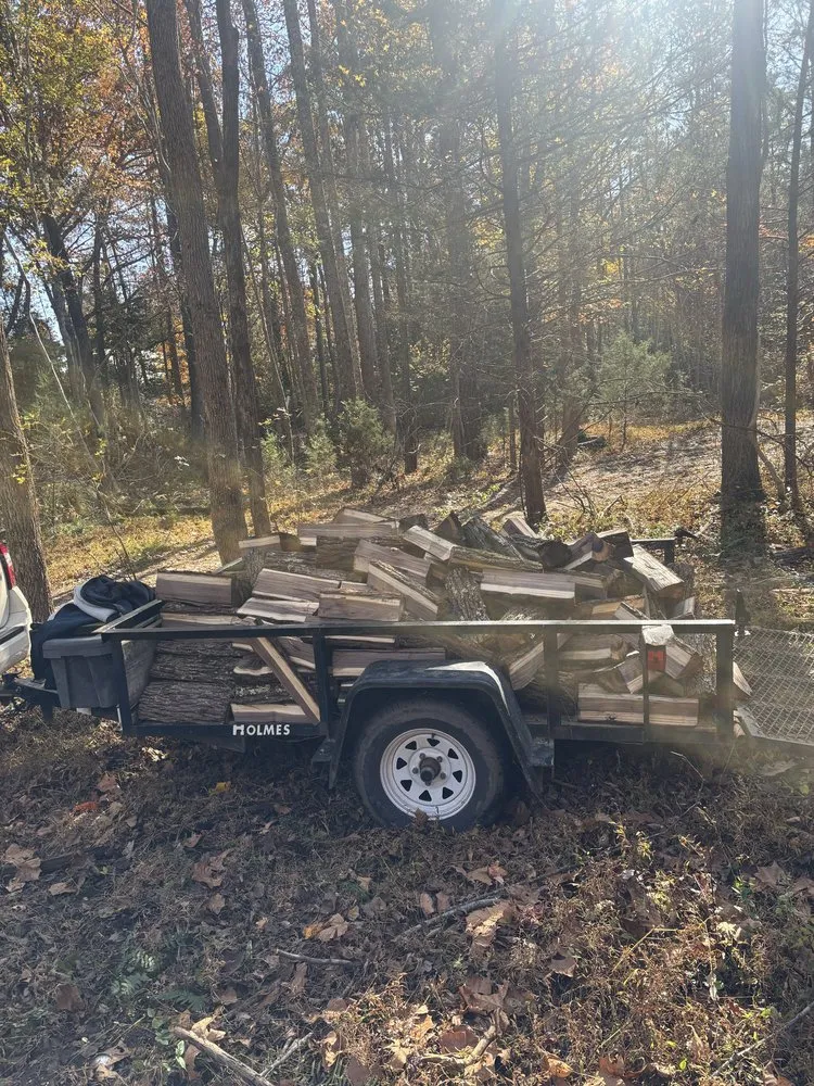 Affordable lawn care service experts serving Henrico, VA - Greene Lawn Care