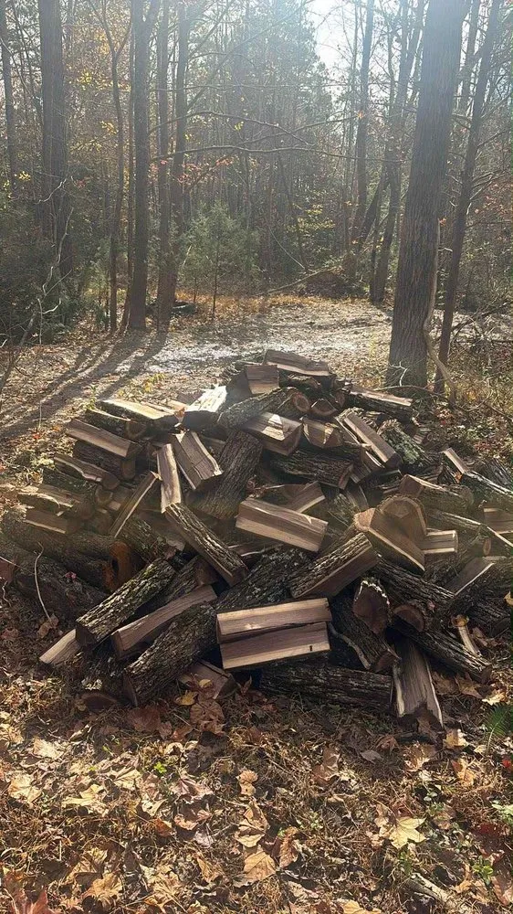 Expert lawn mowing service in Henrico, VA - Greene Lawn Care