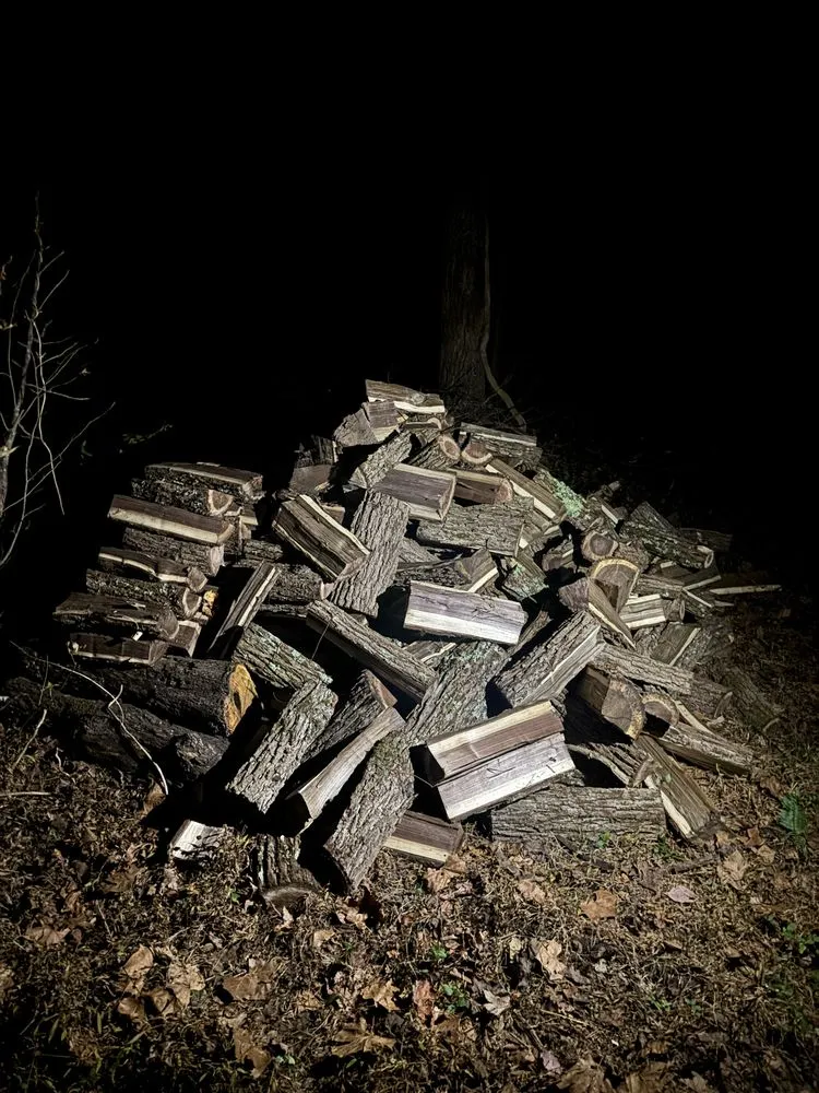 Top-rated yard maintenance in Henrico, VA - Greene Lawn Care