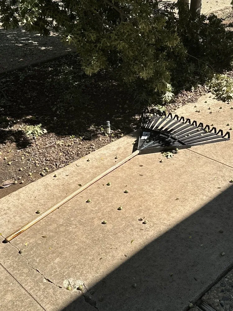 Top-rated outdoor landscaping experts serving Amarillo, TX - Greene Tree & Landscaping