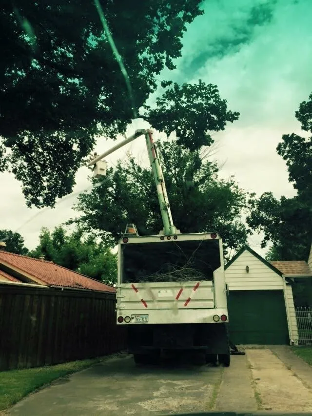 Expert residential landscaping experts serving Amarillo, TX - Greene Tree & Landscaping