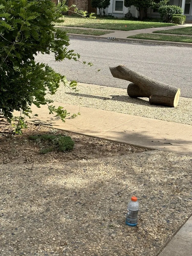 Reliable lawn mowing service for year-round maintenance across Amarillo, TX - Greene Tree & Landscaping