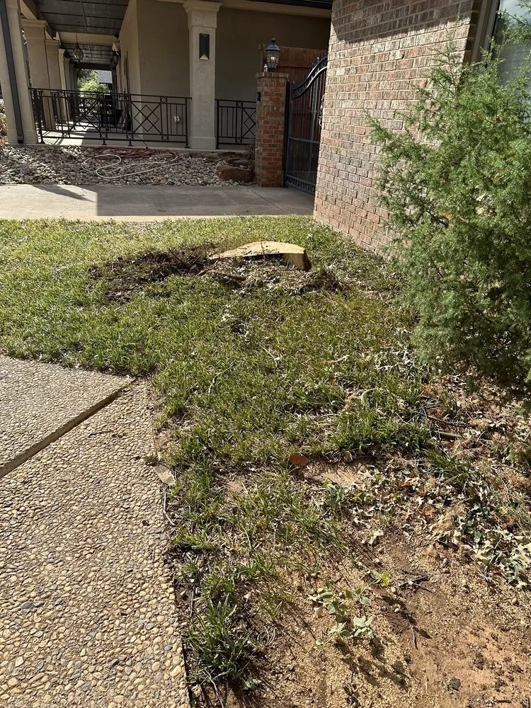 Local landscaping services in Amarillo, TX - Greene Tree & Landscaping