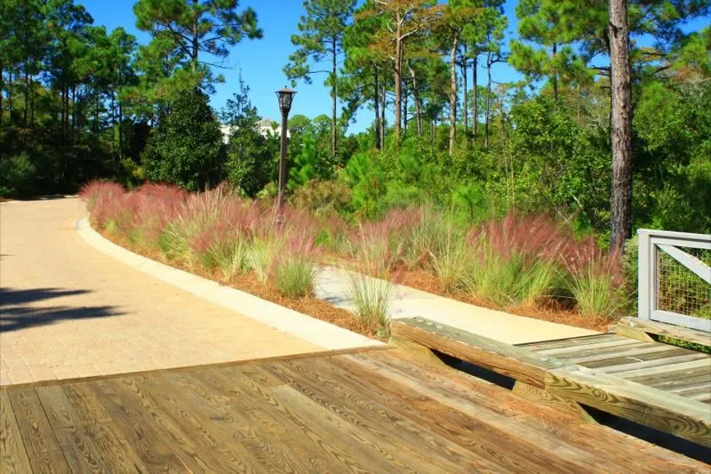Custom residential landscaping in Panama City Beach, FL by GreenEarth Landscape Services