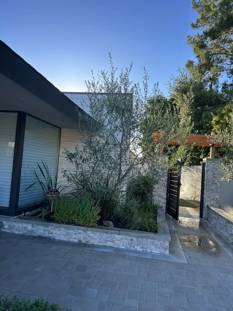 Reliable yard cleanup service in Whittier, CA - Greenearth Landscape