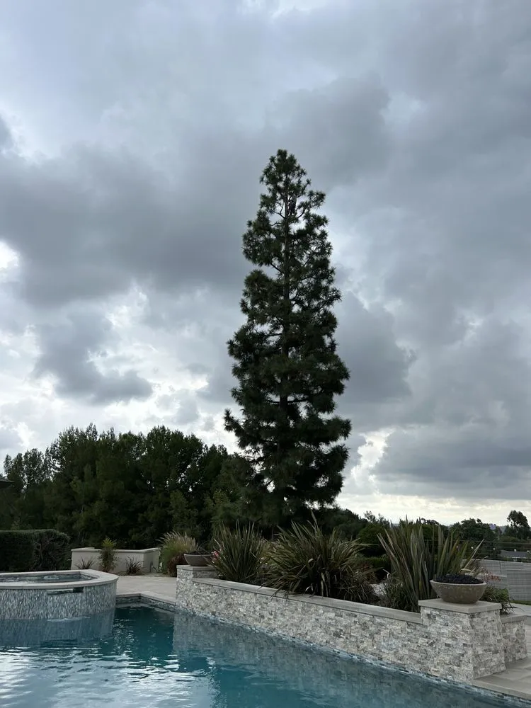 Professional outdoor landscaping near you across Whittier, CA - Greenearth Landscape