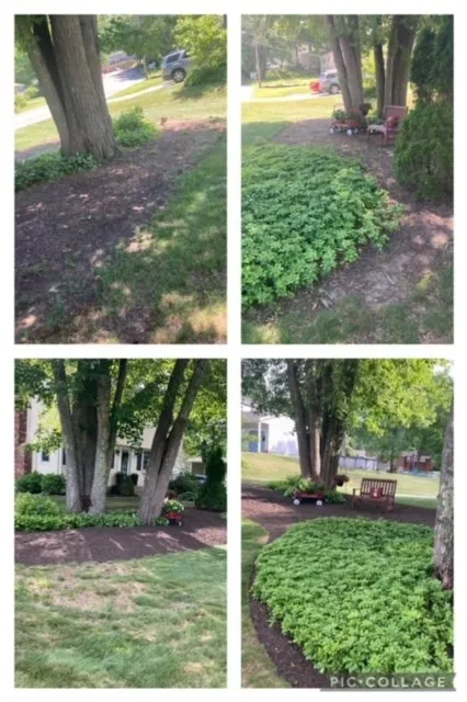 Local yard cleanup service experts serving Montville, CT - Greenearth Landscapes