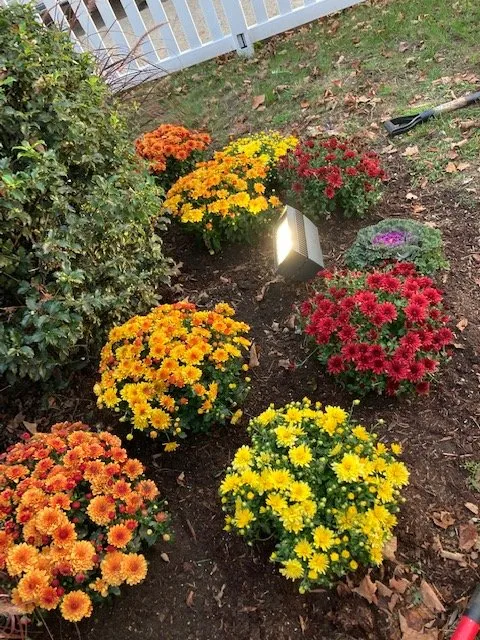 Reliable residential landscaping in Montville, CT - Greenearth Landscapes