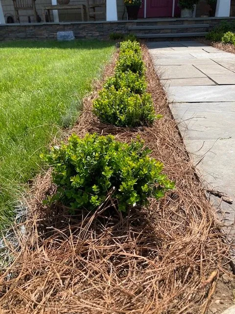 Professional landscape installation in Montville, CT by Greenearth Landscapes