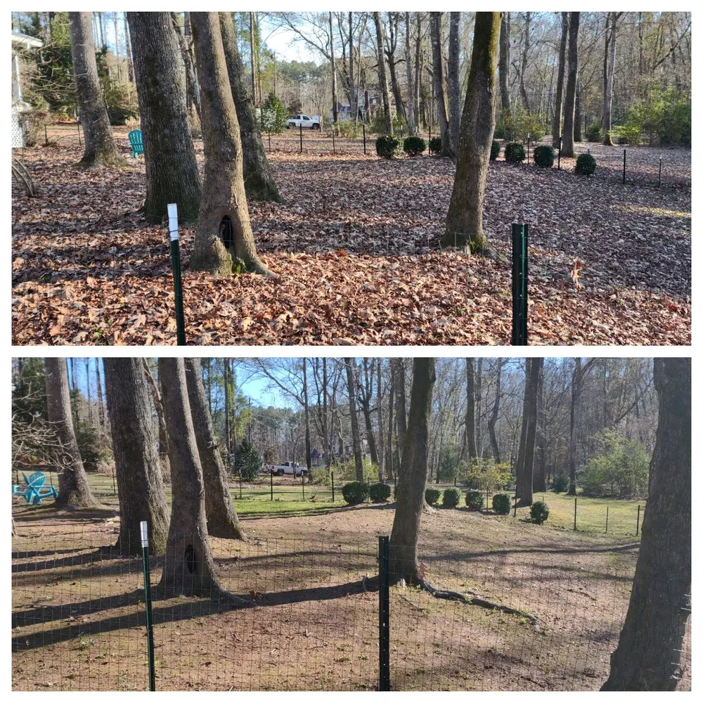 Trusted lawn mowing service experts serving Summerville, SC - Greenecoast Lawn Management